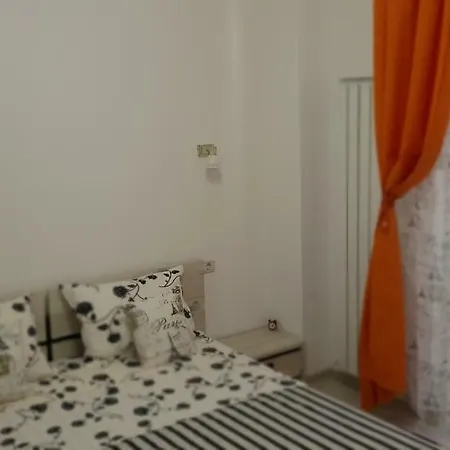 Rapane-mamaia Nord